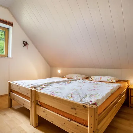 Gisela Mueller Apartment Oberkirch (Baden)