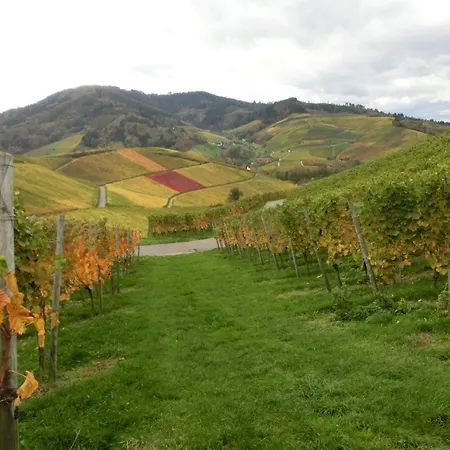 Gisela Mueller * Oberkirch (Baden)