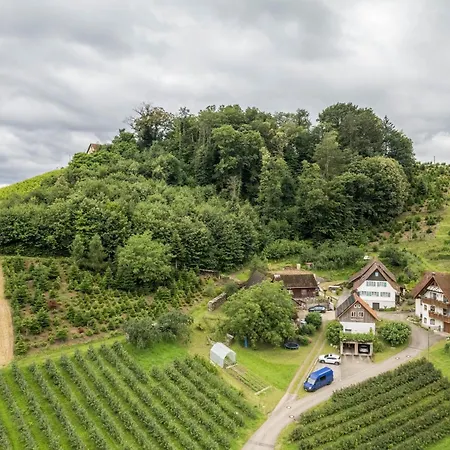 Gisela Müller Apartamento Oberkirch (Baden)